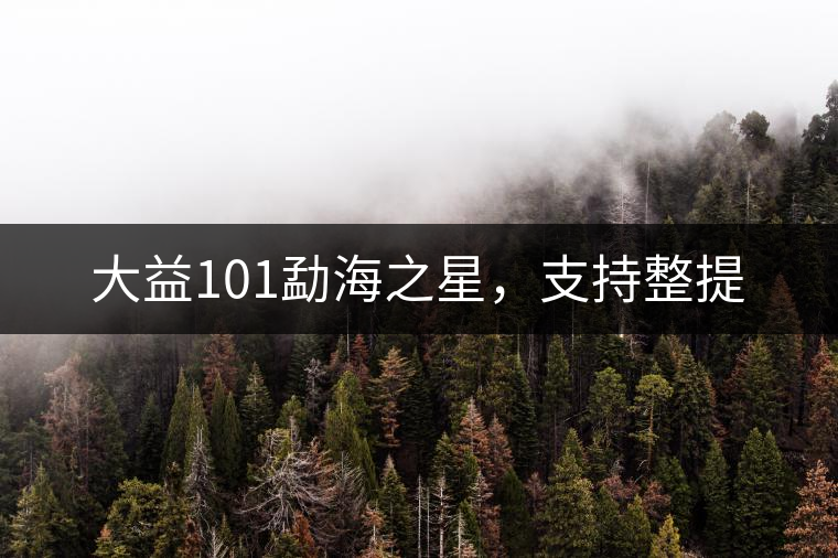 大益101勐海之星，支持整提