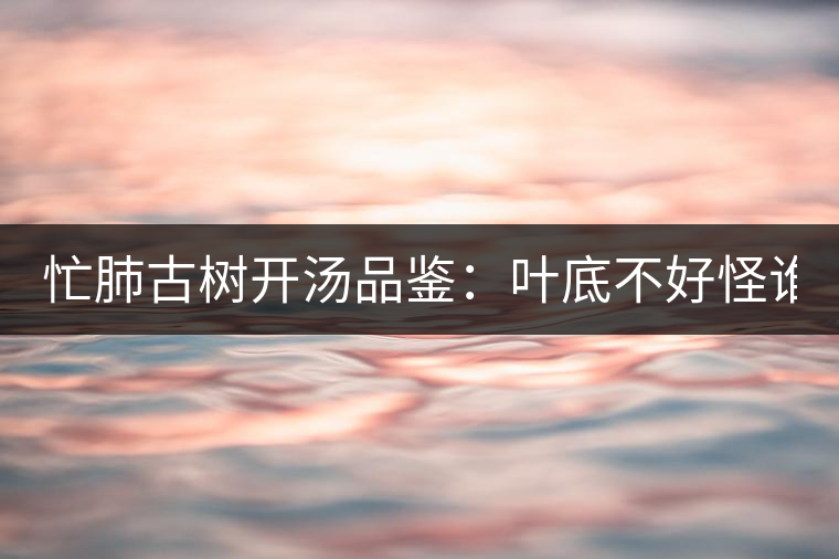 忙肺古樹開湯品鑒：葉底不好怪誰？