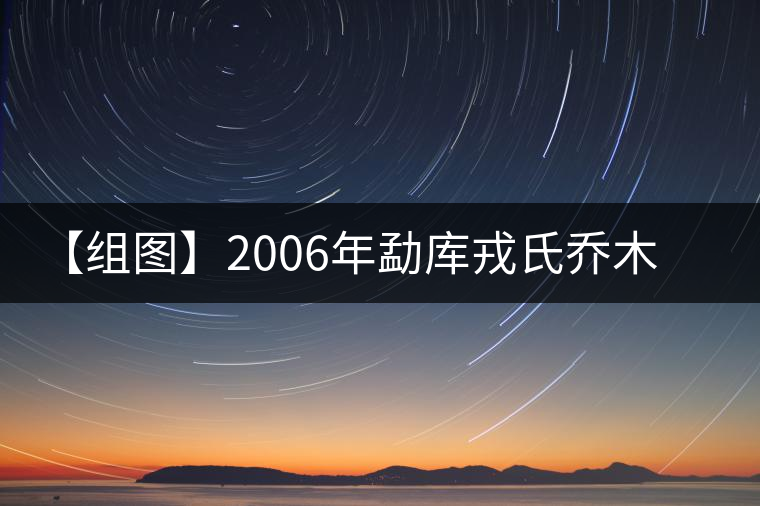 【組圖】2006年勐庫(kù)戎氏喬木王開湯