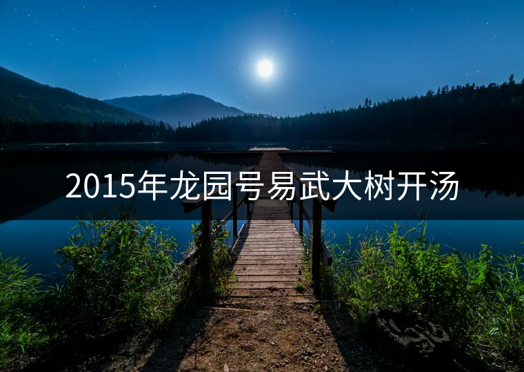 2015年龍園號(hào)易武大樹(shù)開(kāi)湯 2015年龍園號(hào)易武大樹(shù)開(kāi)湯