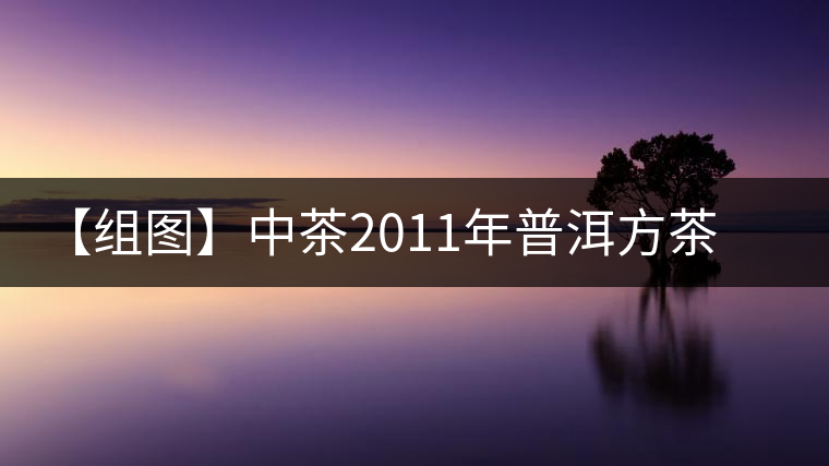 【組圖】中茶2011年普洱方茶開湯