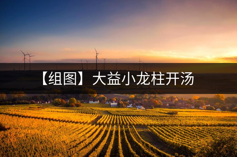 【組圖】大益小龍柱開(kāi)湯