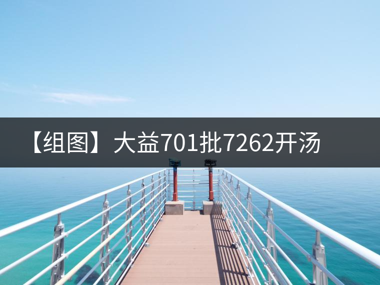 【組圖】大益701批7262開(kāi)湯品鑒 【組圖】大益701批7262開(kāi)湯品鑒