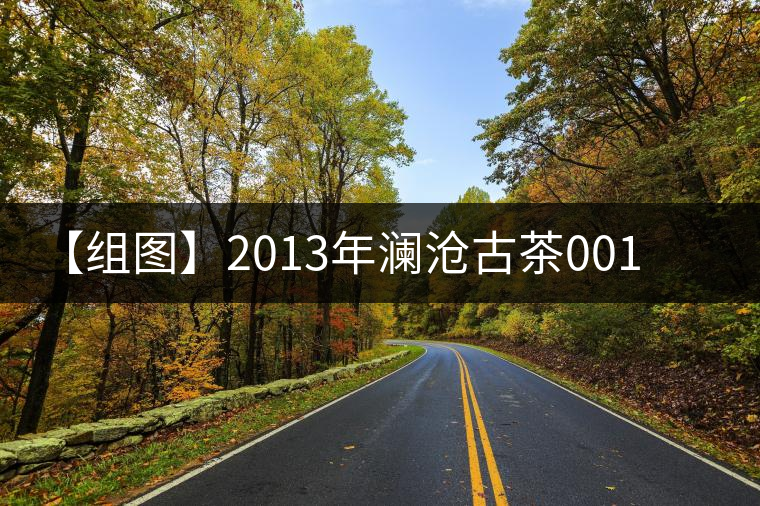 【組圖】2013年瀾滄古茶001普洱茶開湯 【組圖】2013年瀾滄古茶001普洱茶開湯