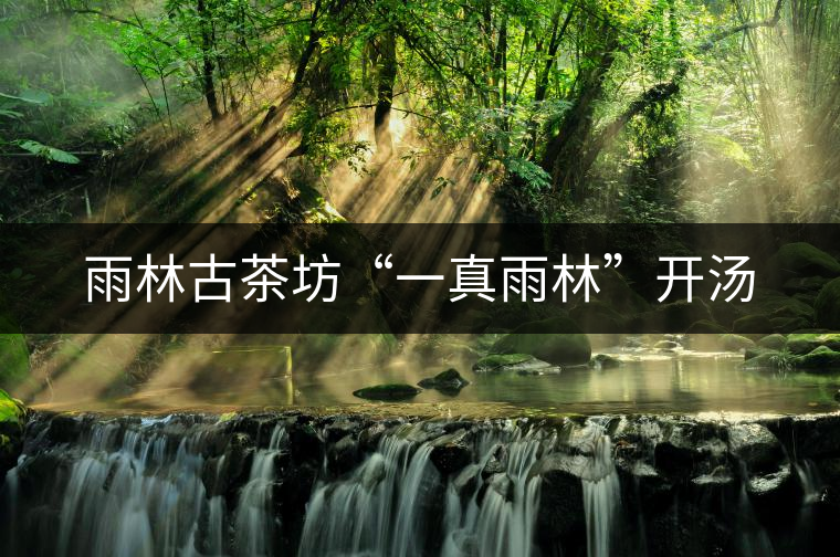 雨林古茶坊“一真雨林”開(kāi)湯