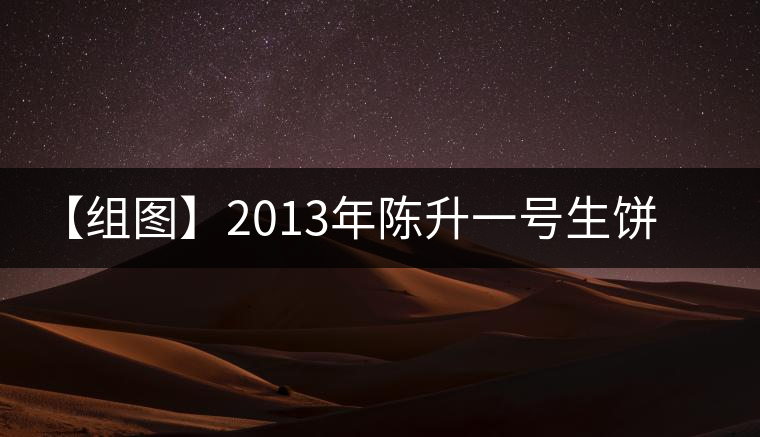 【組圖】2013年陳升一號生餅開湯