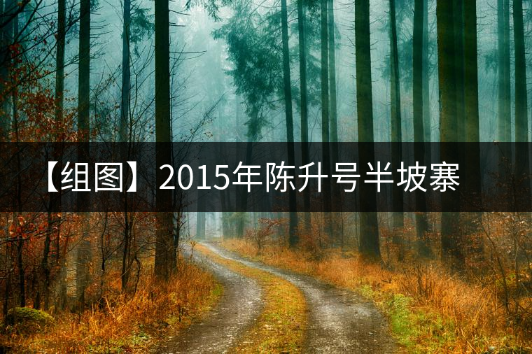【組圖】2015年陳升號(hào)半坡寨普洱茶開湯