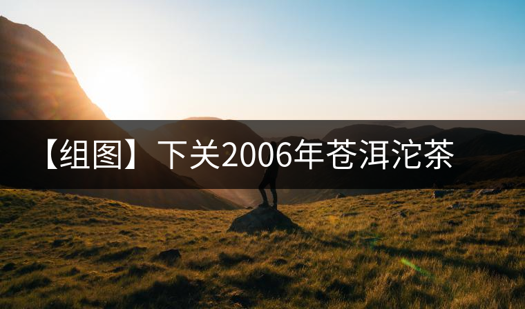 【組圖】下關(guān)2006年蒼洱沱茶開湯 【組圖】下關(guān)2006年蒼洱沱茶開湯