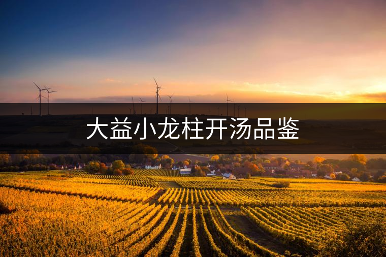 大益小龍柱開湯品鑒 大益小龍柱開湯品鑒