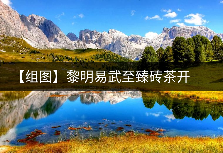 【組圖】黎明易武至臻磚茶開湯