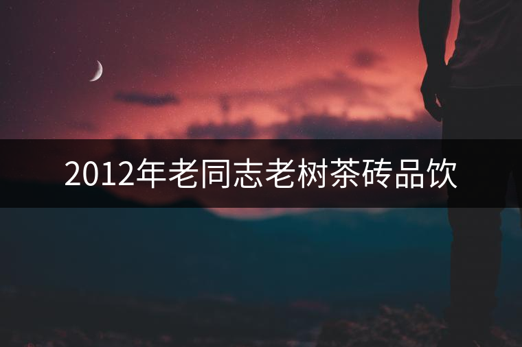 2012年老同志老樹茶磚品飲