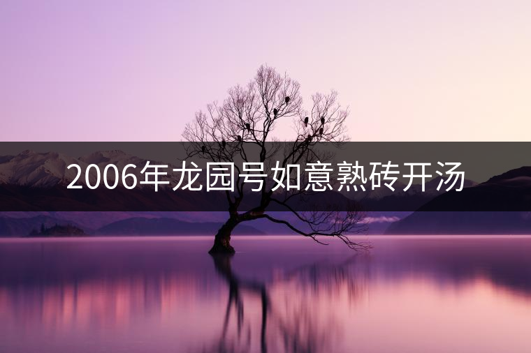 2006年龍園號(hào)如意熟磚開湯 2006年龍園號(hào)如意熟磚開湯