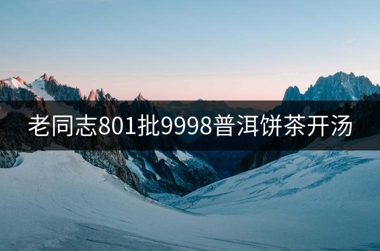 老同志801批9998普洱餅茶開湯 老同志801批9998普洱餅茶開湯