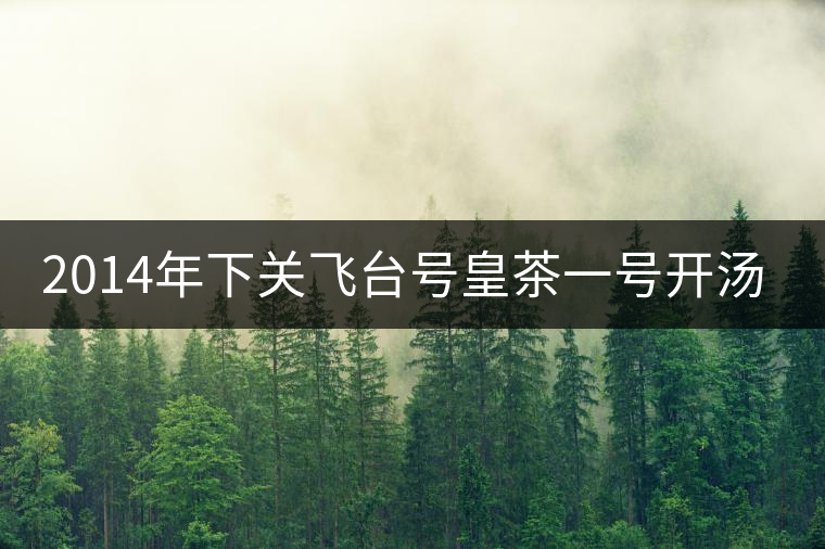 2014年下關(guān)飛臺(tái)號(hào)皇茶一號(hào)開湯品鑒