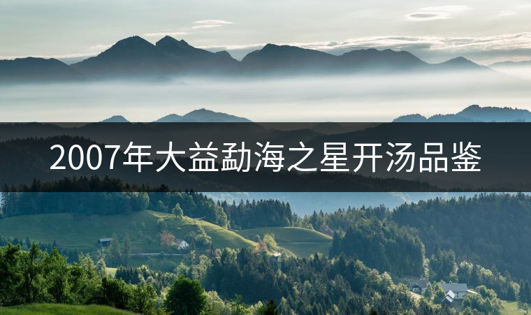 2007年大益勐海之星開湯品鑒