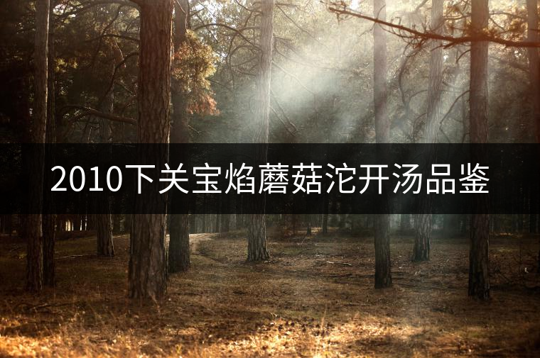 2010下關寶焰蘑菇沱開湯品鑒 2010下關寶焰蘑菇沱開湯品鑒