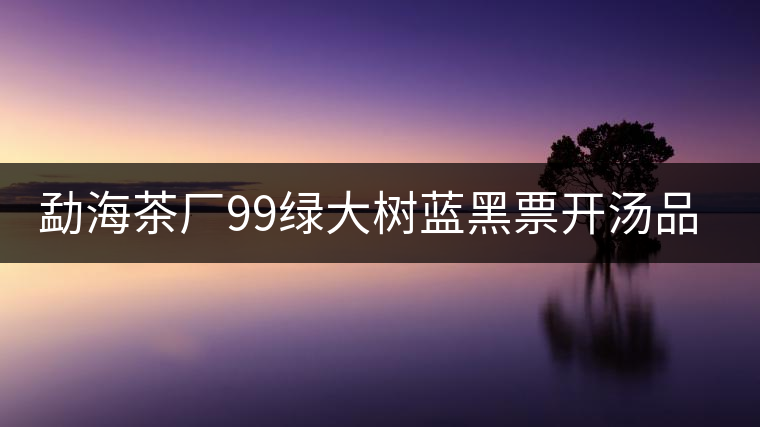勐海茶廠99綠大樹藍黑票開湯品鑒 勐海茶廠99綠大樹藍黑票開湯品鑒