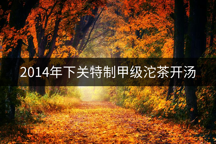 2014年下關(guān)特制甲級沱茶開湯 2014年下關(guān)特制甲級沱茶開湯