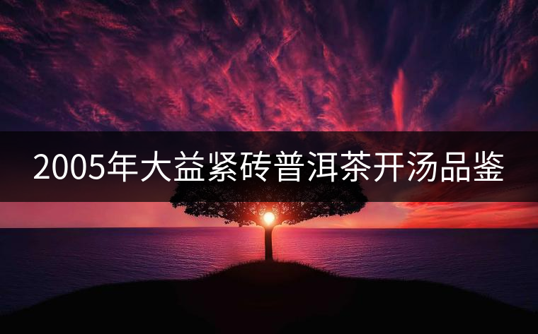 2005年大益緊磚普洱茶開湯品鑒