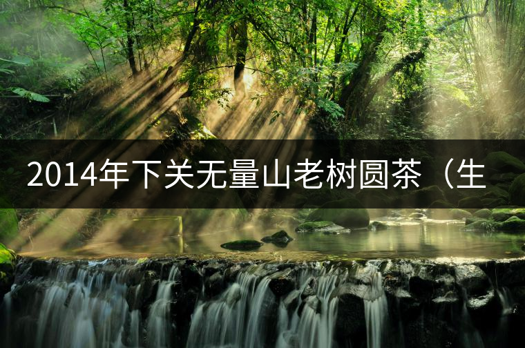 2014年下關(guān)無(wú)量山老樹(shù)圓茶（生茶）開(kāi)湯