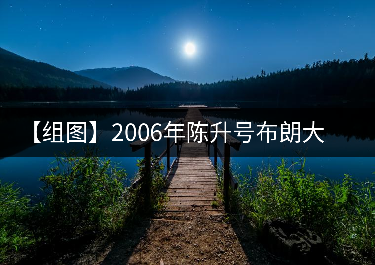 【組圖】2006年陳升號(hào)布朗大樹開湯
