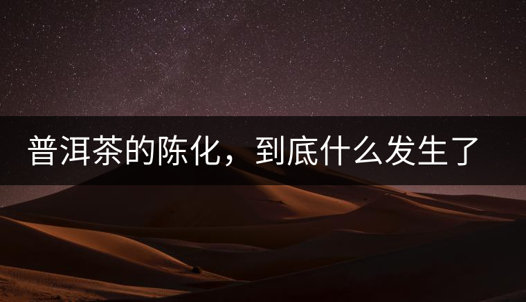 普洱茶的陳化，到底什么發(fā)生了哪些變化？