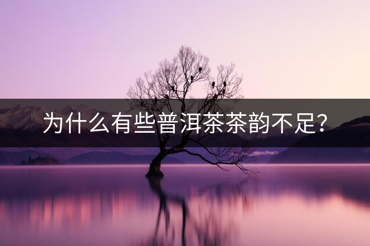 為什么有些普洱茶茶韻不足？