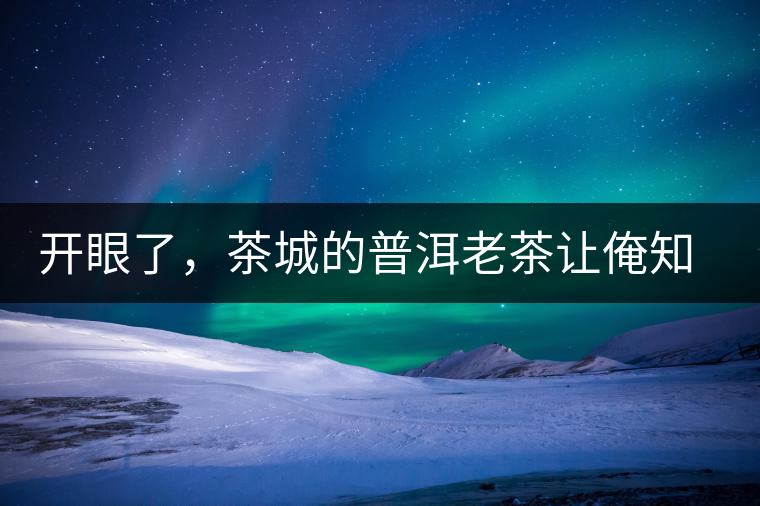 開眼了，茶城的普洱老茶讓俺知道了老茶樹