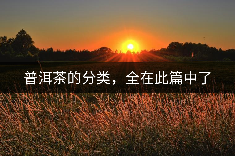 普洱茶的分類(lèi)，全在此篇中了
