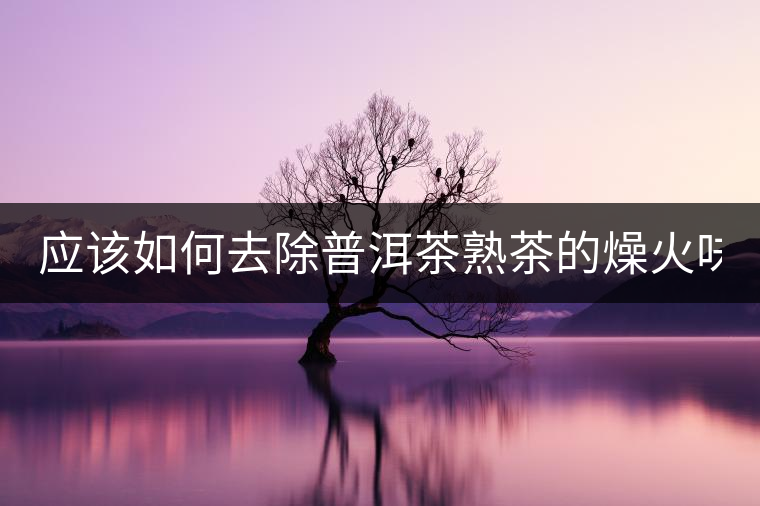 應(yīng)該如何去除普洱茶熟茶的燥火味？