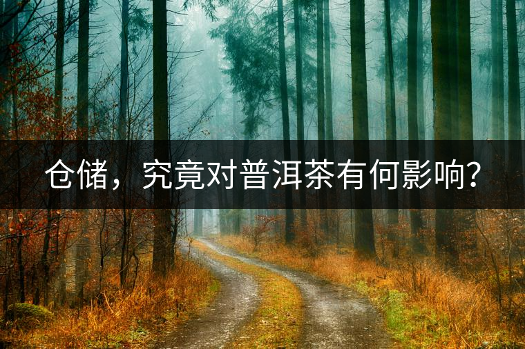 倉儲，究竟對普洱茶有何影響？