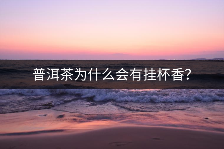 普洱茶為什么會(huì)有掛杯香？