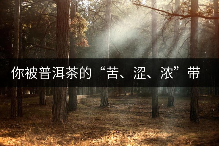 你被普洱茶的“苦、澀、濃”帶入“歧途”了嗎？