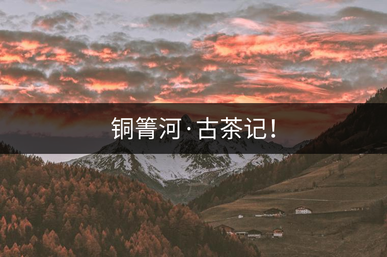 銅箐河·古茶記！