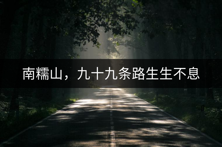 南糯山，九十九條路生生不息