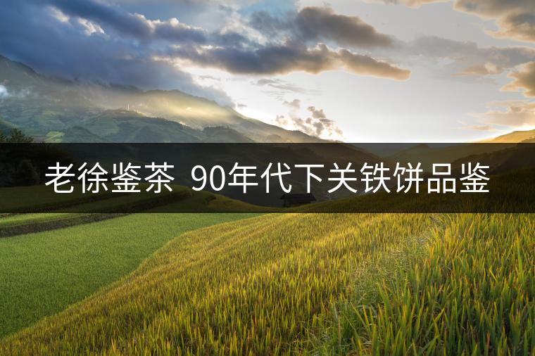 老徐鑒茶 90年代下關鐵餅品鑒 老徐鑒茶 90年代下關鐵餅品鑒
