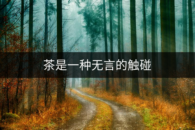 茶是一種無言的觸碰