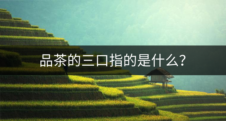 品茶的三口指的是什么？