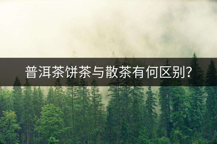 普洱茶餅茶與散茶有何區(qū)別？