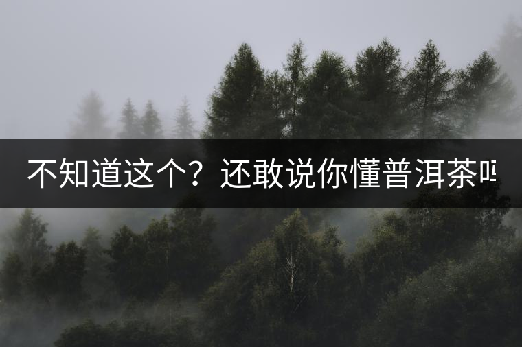 不知道這個(gè)？還敢說(shuō)你懂普洱茶嗎？