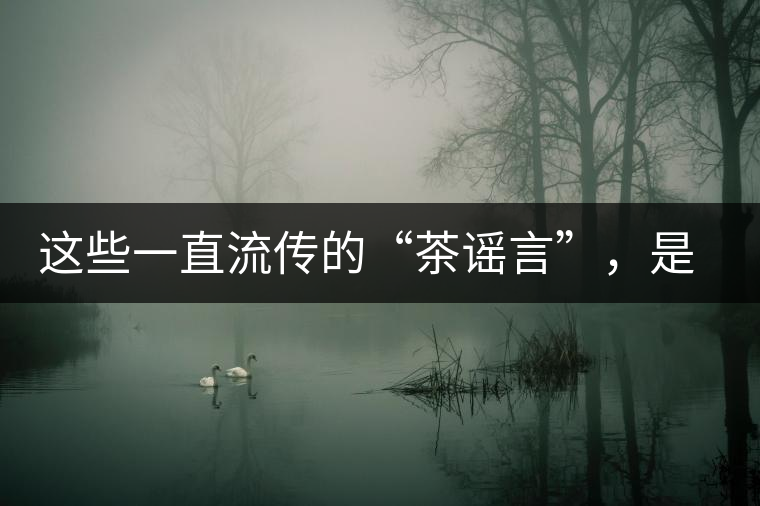 這些一直流傳的“茶謠言”，是時候知道真相了