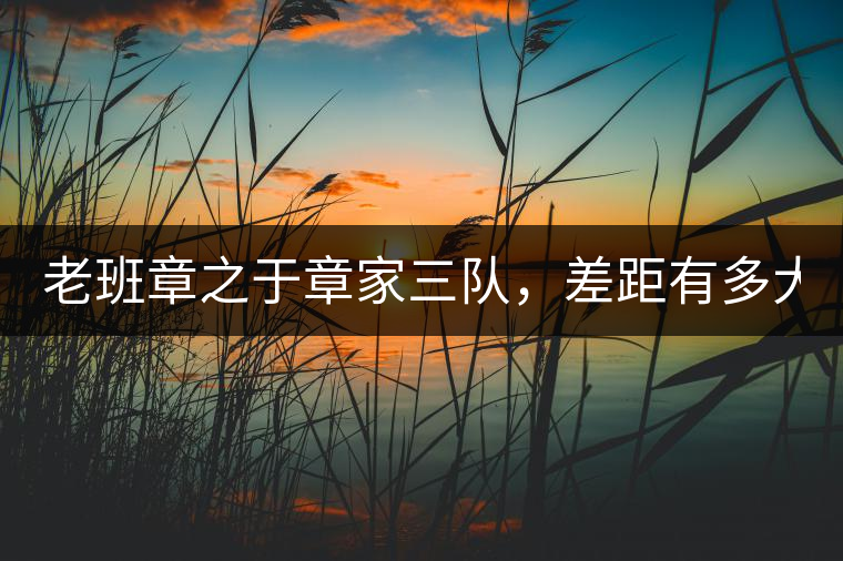 老班章之于章家三隊，差距有多大？