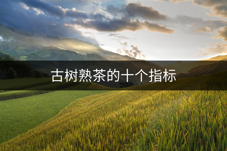 古樹熟茶的十個指標 古樹熟茶的十個指標