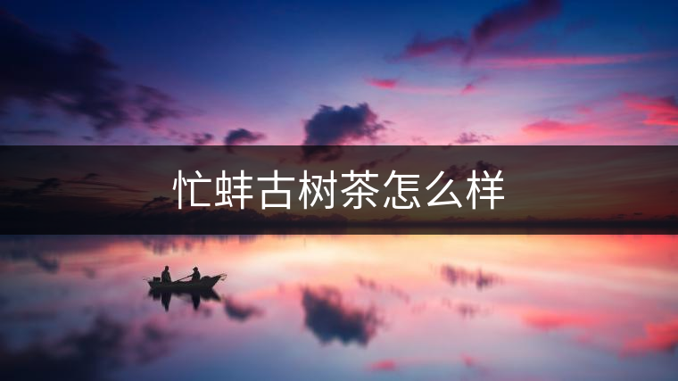 忙蚌古樹茶怎么樣