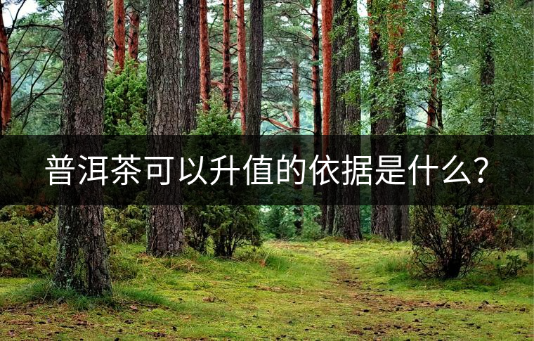 普洱茶可以升值的依據(jù)是什么？