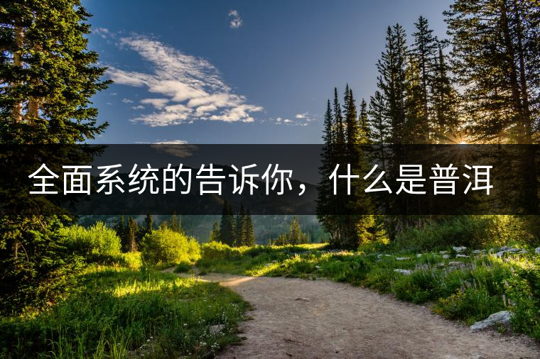 全面系統(tǒng)的告訴你，什么是普洱茶