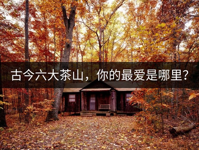 古今六大茶山，你的最愛是哪里？