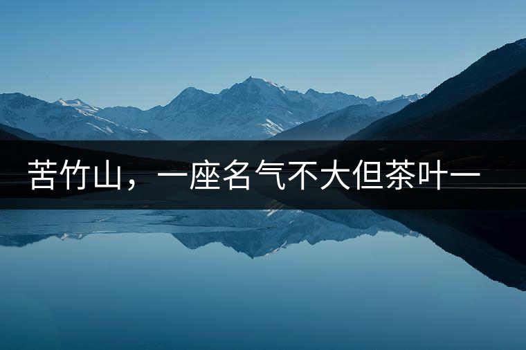 苦竹山，一座名氣不大但茶葉一流的古茶山