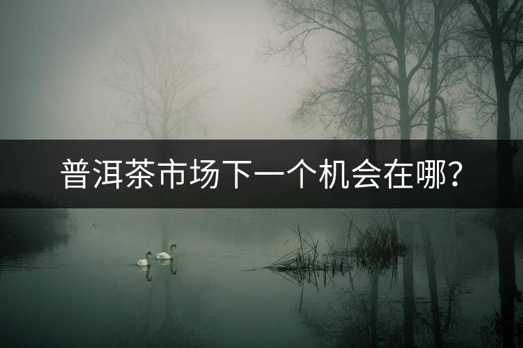 普洱茶市場(chǎng)下一個(gè)機(jī)會(huì)在哪？