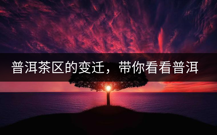 普洱茶區(qū)的變遷，帶你看看普洱茶地域分布